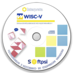 Software WISC-V